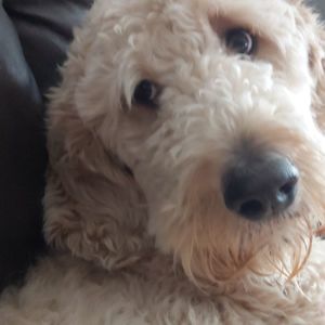 Meet your Posher, Charlene